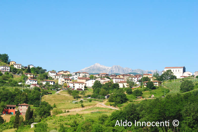 VILLETTA SAN ROMANO: POGGIO